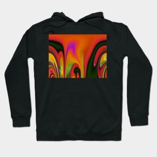 Colour Splash  by Adelaide Artist Avril Thomas Hoodie